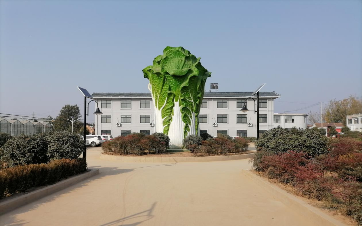 山東菏澤有機(jī)地標(biāo)高效農(nóng)業(yè)科技示范園