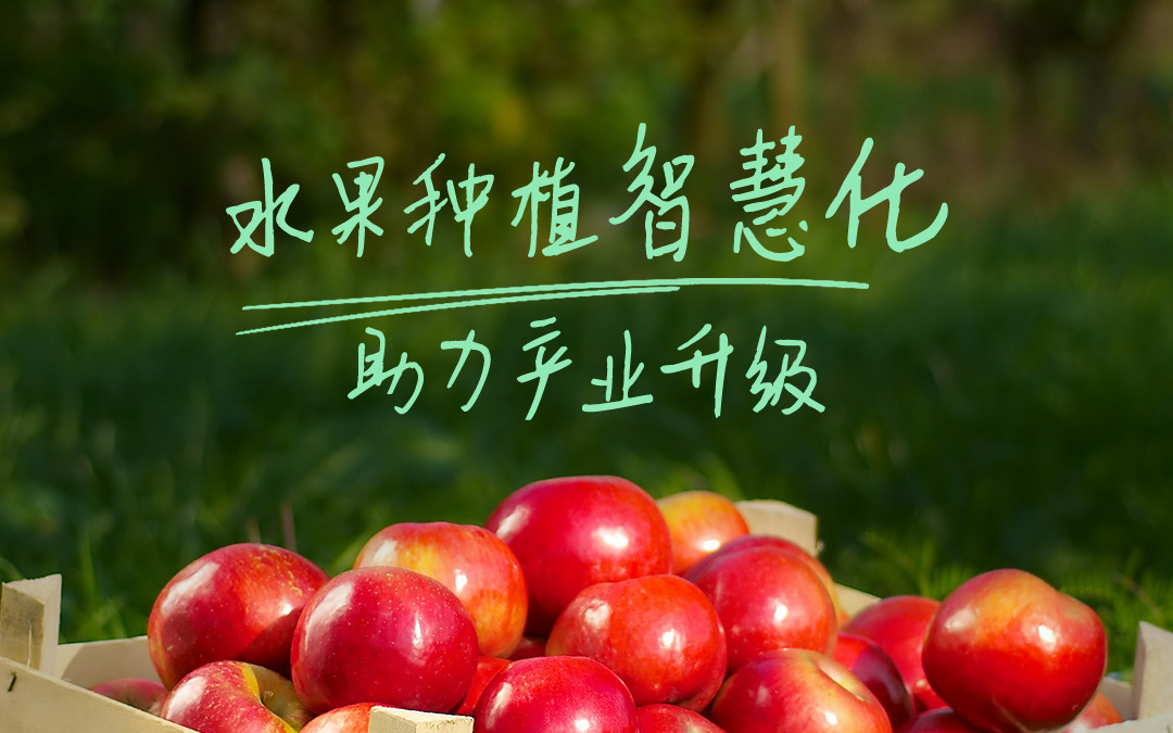 賽通科技發布今年會jinnianhui智慧果園解決方案