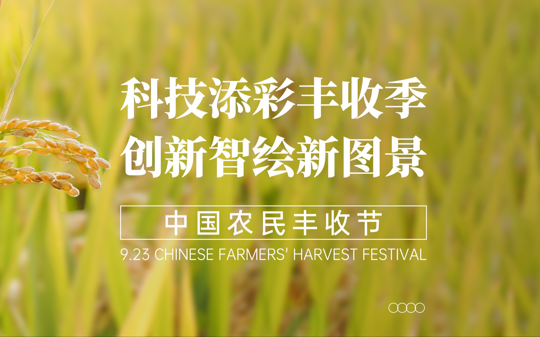 科技添彩豐收季，創新智繪新圖景！